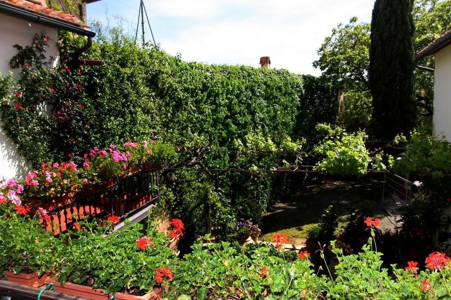 Casa Lemmi Guest House San Quirico d'Orcia Ngoại thất bức ảnh
